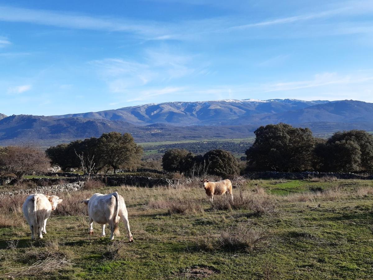 Casa Rural Mi Descanso Valdefuentes de Sangusín Esterno foto